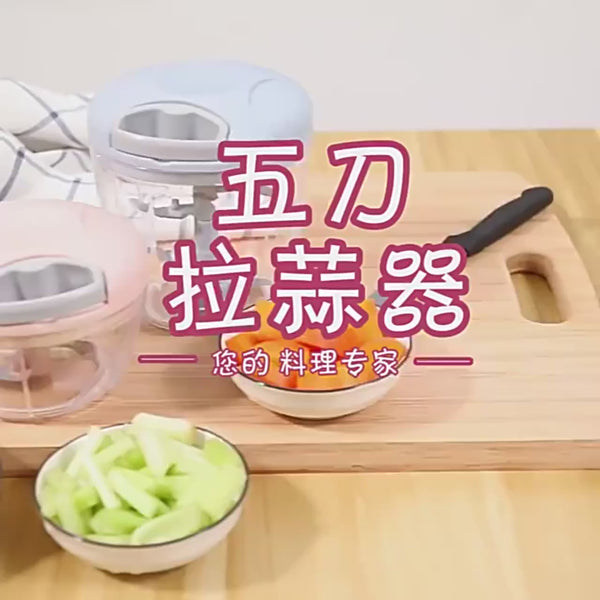 Manual Garlic Chopper & Mincer