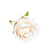 Red Roses in Vase Beautiful Silk Artificial Rose Flowers Roses by Kahaul Official Store