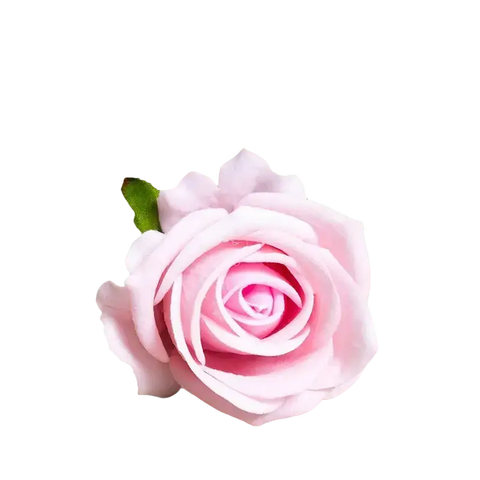 Pink rose with green stem and leaves.