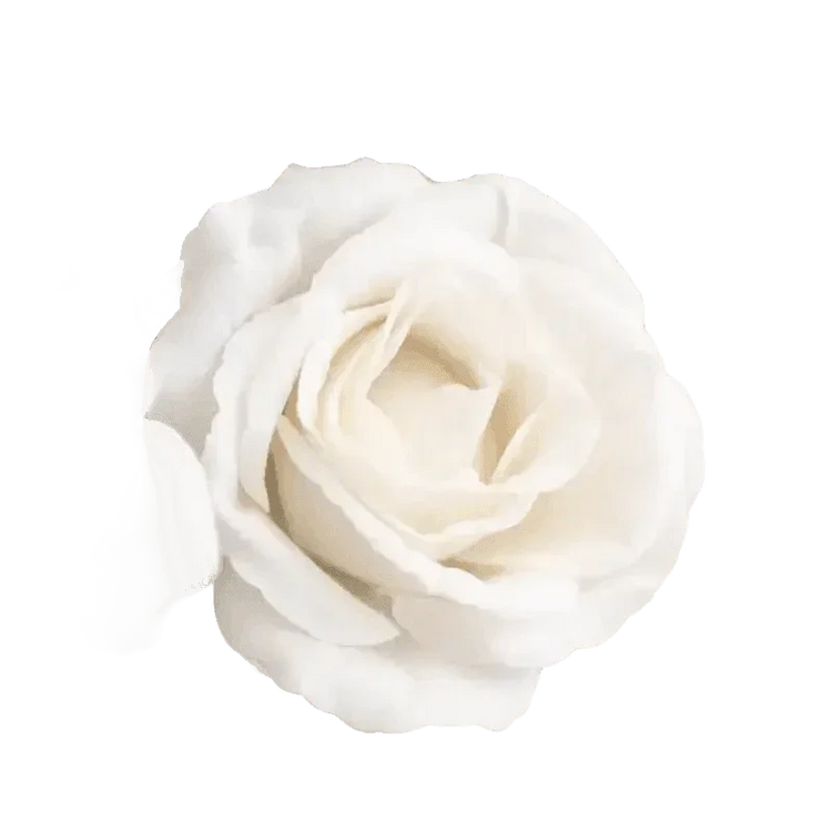 Red Roses in Vase Beautiful Silk Artificial Rose Flowers - GiFTiFY