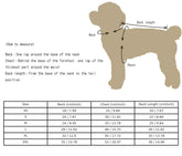 Royal Pup Couture Dog Suit Pet Tuxedo+Shirt - GiFTiFY