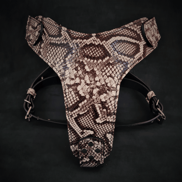 The ''Rock Python'' harness - GiFTiFY