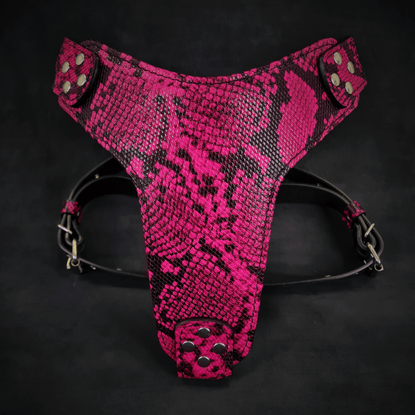 The ''Rock Python'' harness PINK - GiFTiFY