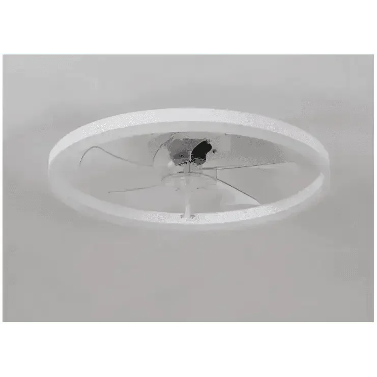 LED Ceiling Fan with Remote Control Chandelier by DSERS