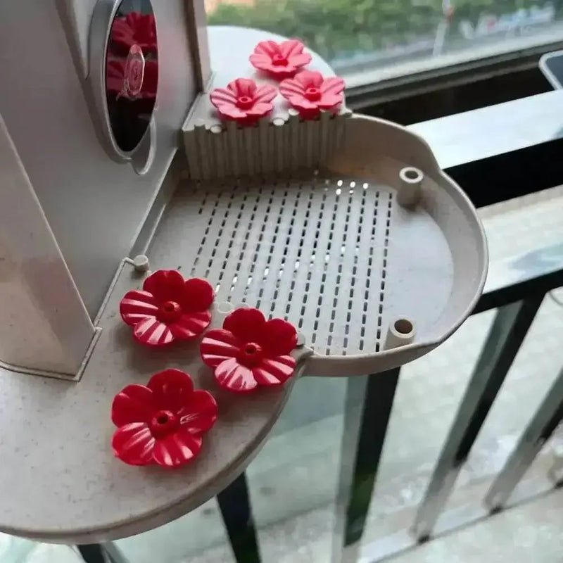Solar Bird Feeder Camera bird watching Experience Bird Feeders by CJ