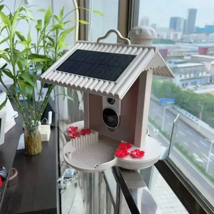 Solar Bird Feeder Camera bird watching Experience - GiFTiFY