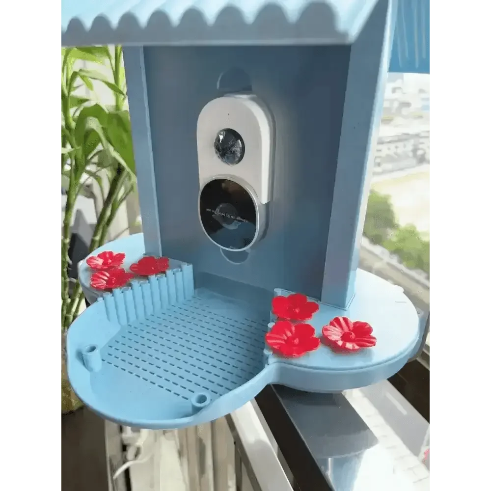 Solar Bird Feeder Camera bird watching Experience - GiFTiFY