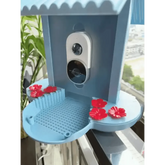 Solar Bird Feeder Camera bird watching Experience - GiFTiFY