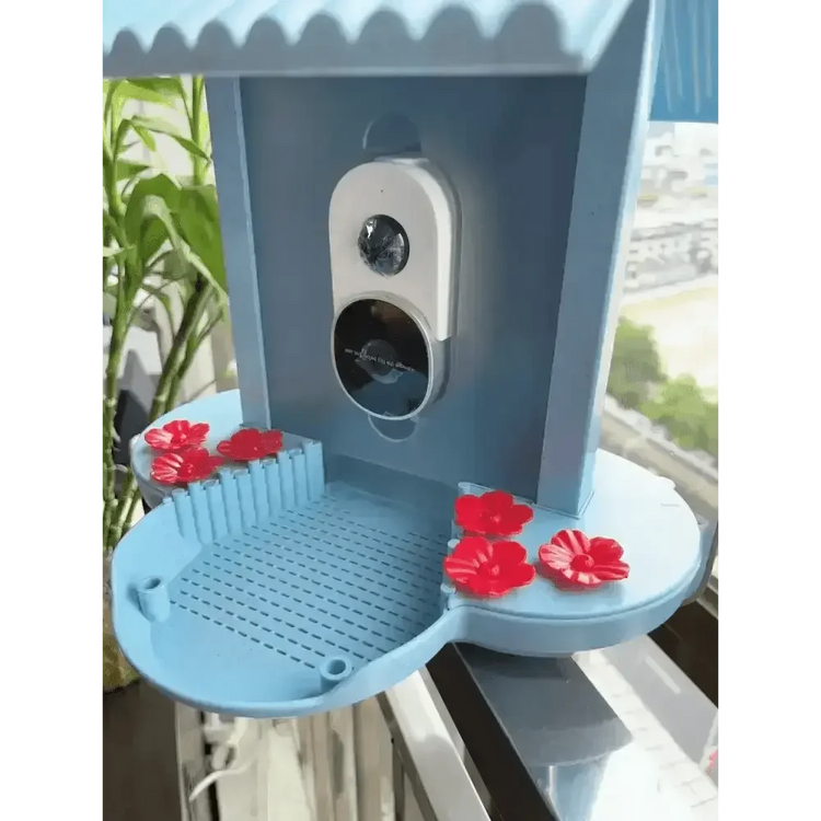Solar Bird Feeder Camera bird watching Experience - GiFTiFY