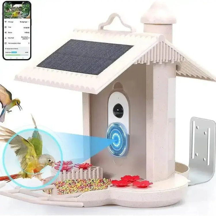 Solar Bird Feeder Camera bird watching Experience - GiFTiFY