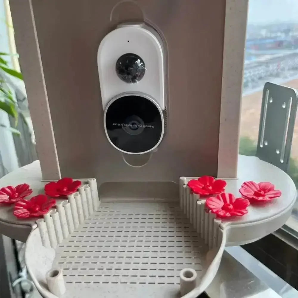 Solar Bird Feeder Camera bird watching Experience Bird Feeders by CJ