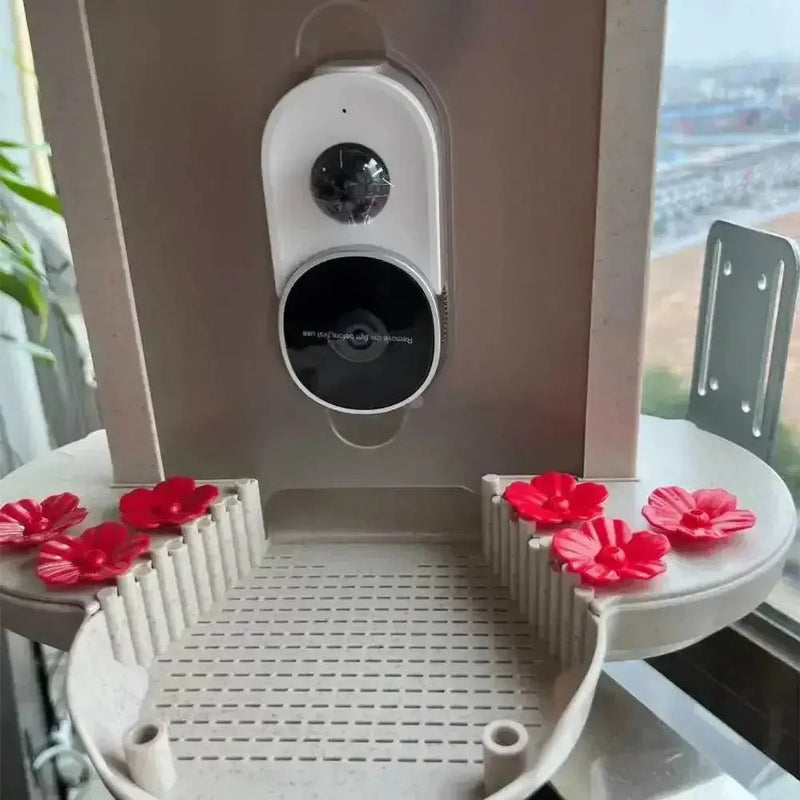 Solar Bird Feeder Camera bird watching Experience Bird Feeders by CJ