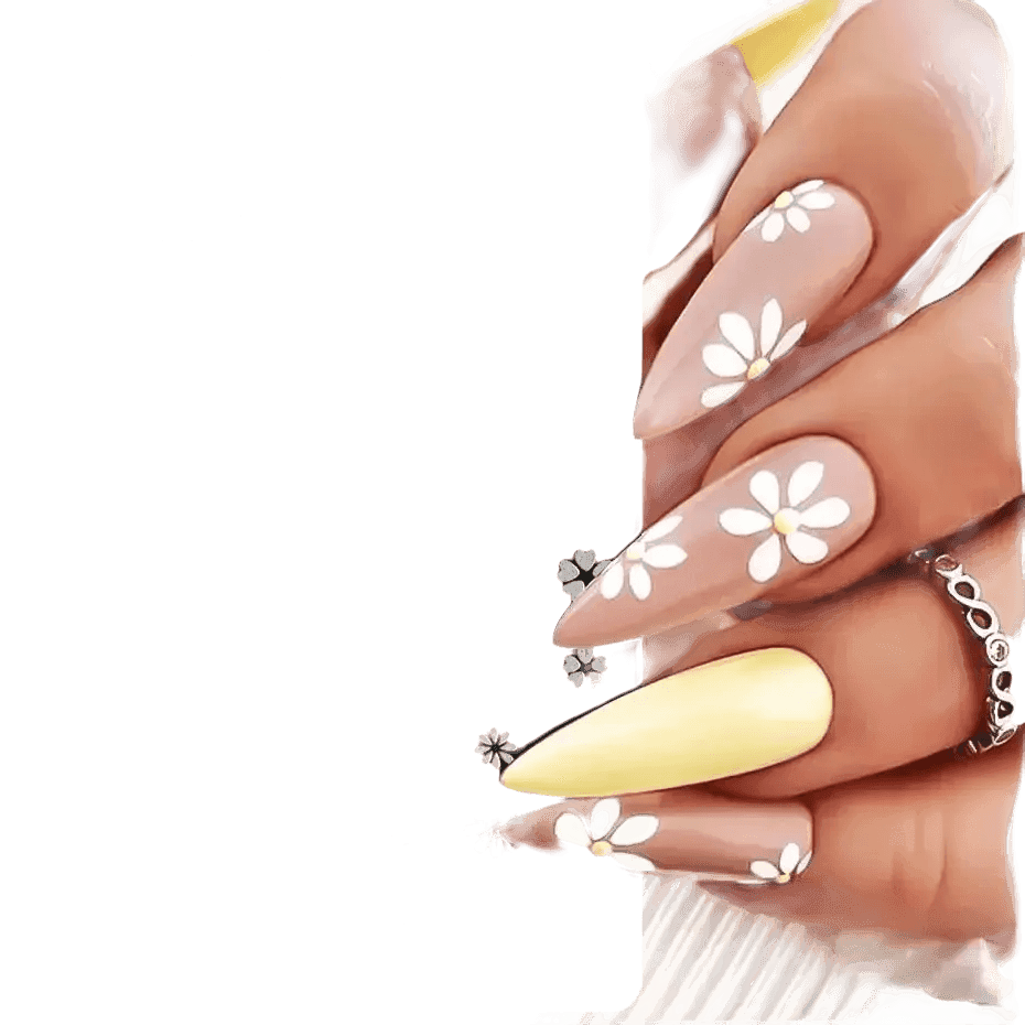 Spring Flowers Nail Stamping Plates Cherry Blossom - GiFTiFY