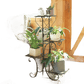 Tiered Metal Plant Stand with Plants - GiFTiFY