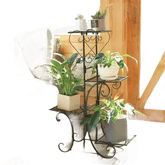 Tiered Metal Plant Stand with Plants - GiFTiFY