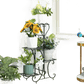 Tiered Metal Plant Stand with Plants - GiFTiFY