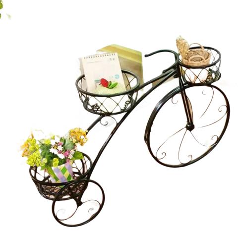 Decorative bicycle plant stand.