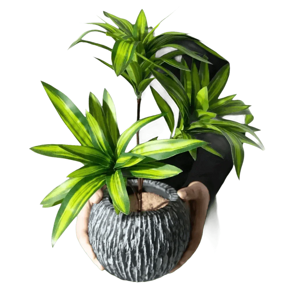 Variegated Dracaena Artificial Palm Tree in Textured Pot fake trees by Kmitang Official Store