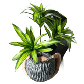 Variegated Dracaena Artificial Palm Tree in Textured Pot - GiFTiFY