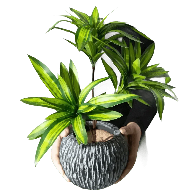 Variegated Dracaena Artificial Palm Tree in Textured Pot fake trees by Kmitang Official Store