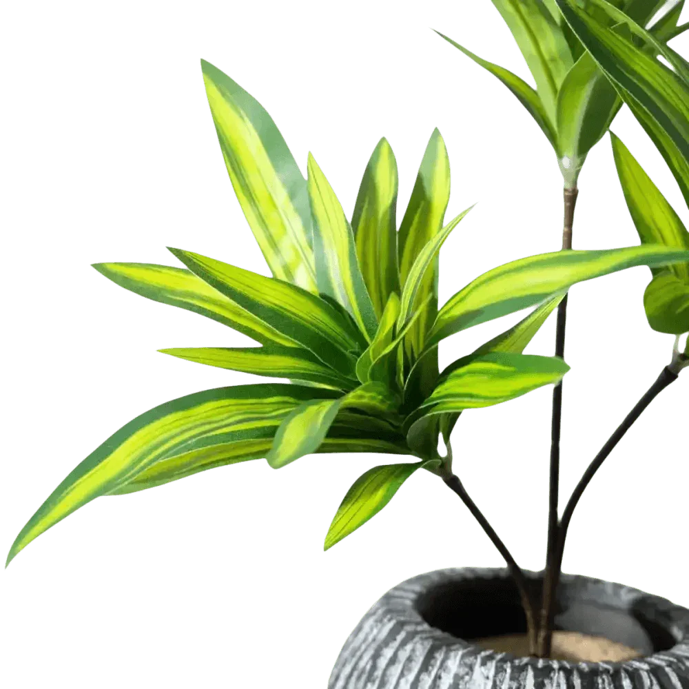 Variegated Dracaena Artificial Palm Tree in Textured Pot fake trees by Kmitang Official Store