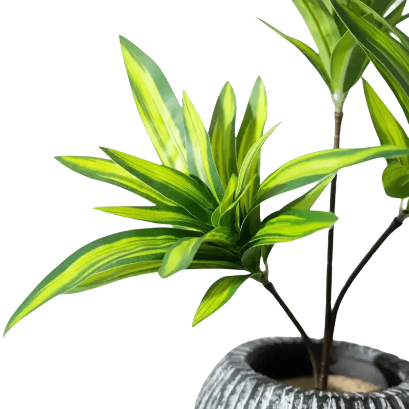 Variegated Dracaena Artificial Palm Tree in Textured Pot fake trees by Kmitang Official Store