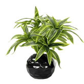 Variegated Dracaena Artificial Palm Tree in Textured Pot - GiFTiFY