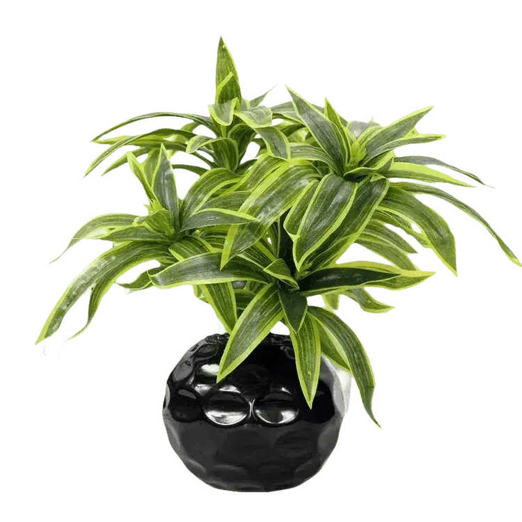 Variegated Dracaena Artificial Palm Tree in Textured Pot - GiFTiFY