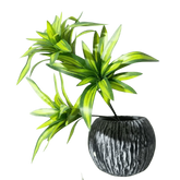 Variegated Dracaena Artificial Palm Tree in Textured Pot - GiFTiFY
