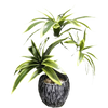 Variegated Dracaena Artificial Palm Tree in Textured Pot - GiFTiFY