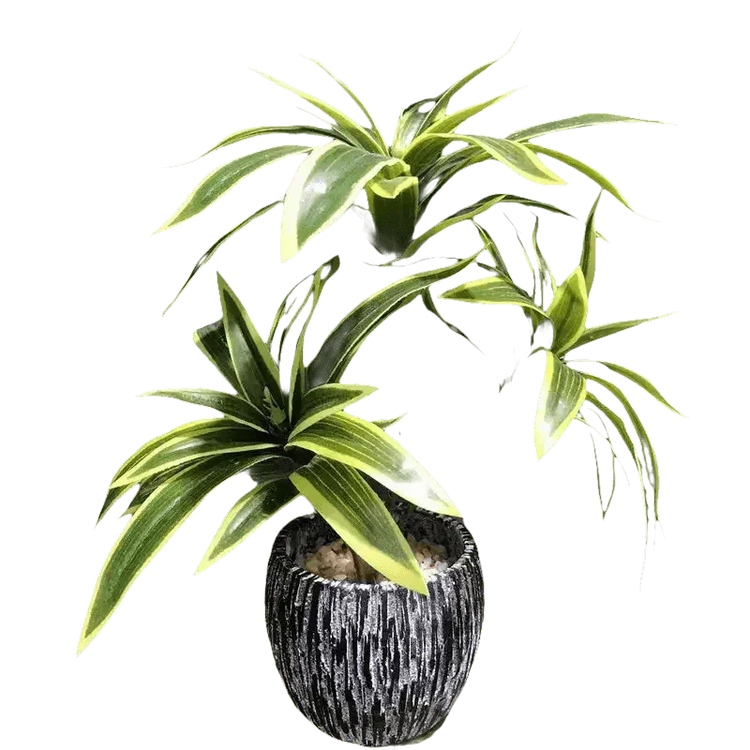 Variegated Dracaena Artificial Palm Tree in Textured Pot - GiFTiFY