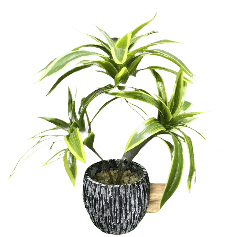 Variegated Dracaena Artificial Palm Tree in Textured Pot fake trees by Kmitang Official Store