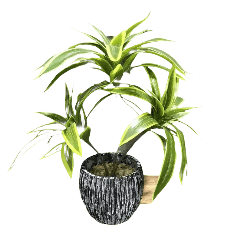 Variegated Dracaena Artificial Palm Tree in Textured Pot - GiFTiFY