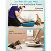 White Air Purifier with Blue Light Downypaws Litter Box - GiFTiFY