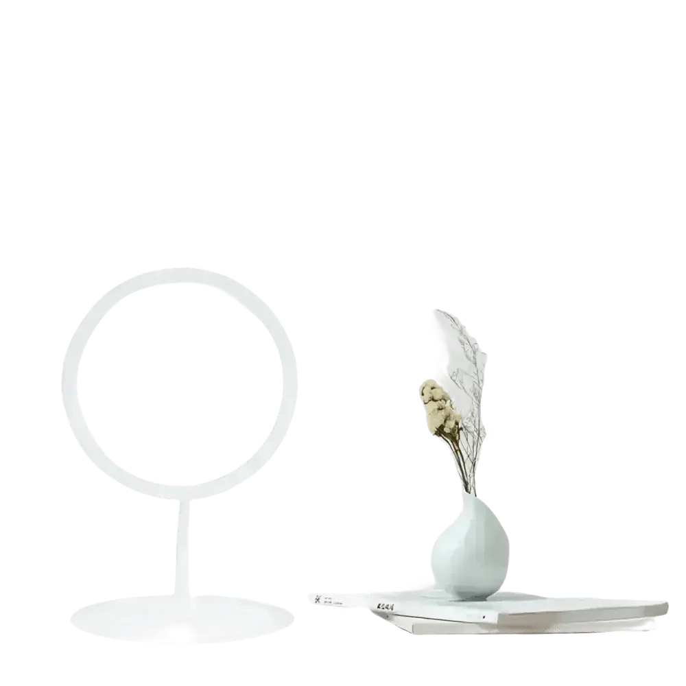 White LED Daylight Makeup Mirror USB Battery face mirror by Rockbrook Daily Store