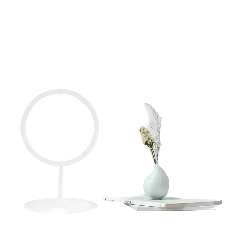 White LED Daylight Makeup Mirror USB Battery face mirror by Rockbrook Daily Store