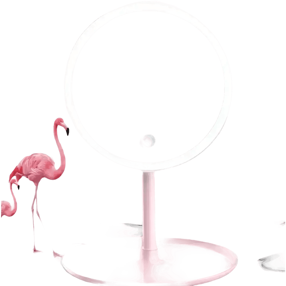 White LED Daylight Makeup Mirror USB Battery - GiFTiFY