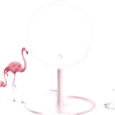 White LED Daylight Makeup Mirror USB Battery - GiFTiFY