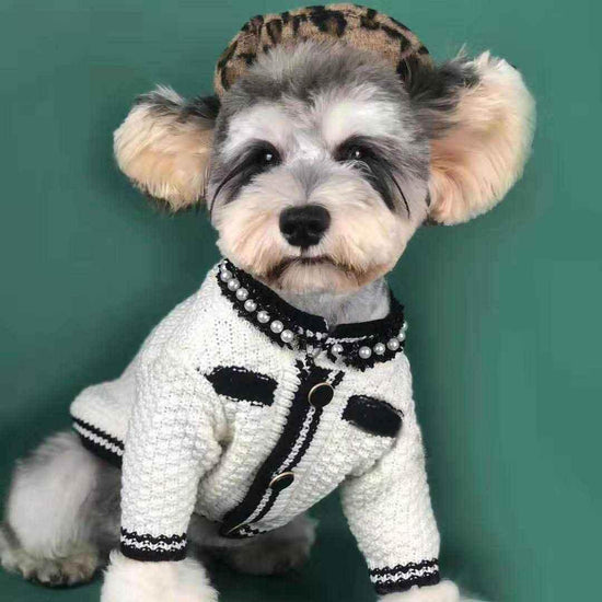 Pet sweater kint fashion cardigan - GiFTiFY