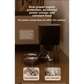 WiFi Single Bowl Cat Automatic Feeder - GiFTiFY