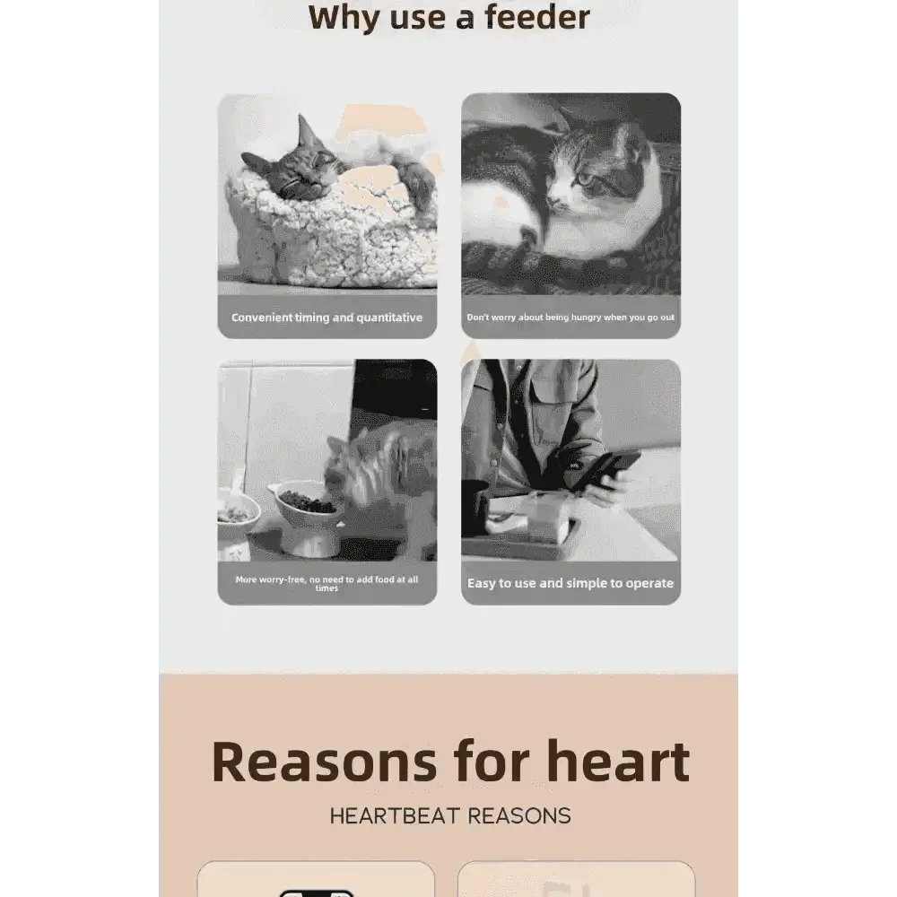 WiFi Single Bowl Cat Automatic Feeder - GiFTiFY