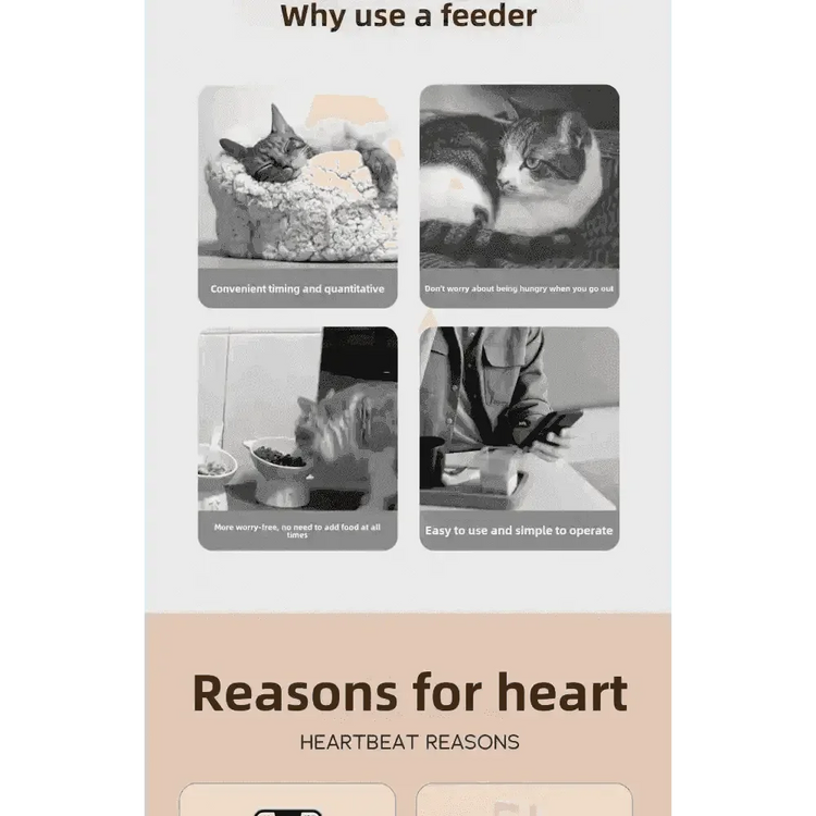 WiFi Single Bowl Cat Automatic Feeder - GiFTiFY