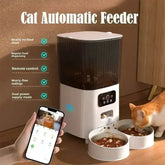 WiFi Single Bowl Cat Automatic Feeder - GiFTiFY