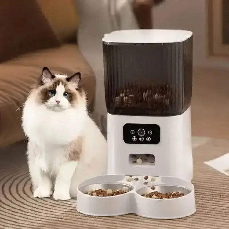 WiFi Single Bowl Cat Automatic Feeder - GiFTiFY